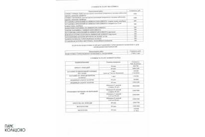 Актуальные тарифы услуг Парка Кольцово