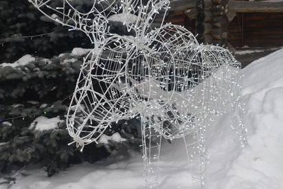 Обновления в парке