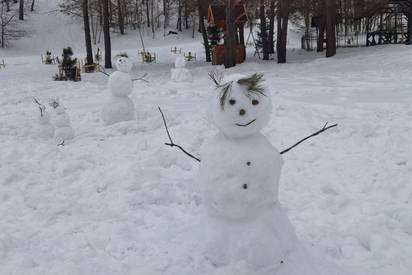 Семья снеговичков