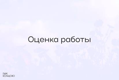 Оцените работу организации МБУ «Парк культуры и отдыха Парк-Кольцово»