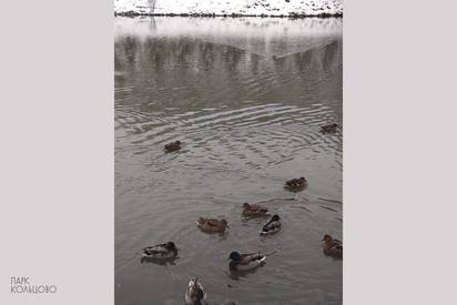 Первый снег в Парке Кольцово